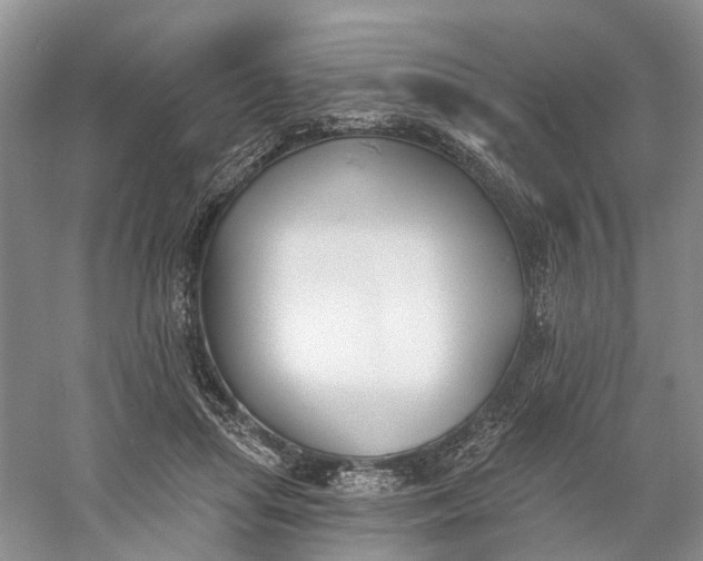 X0000060560455200511171610