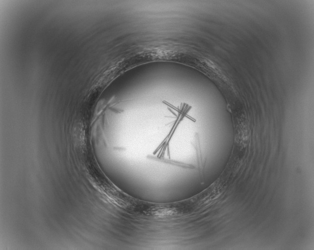X0000060560456200511171610