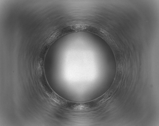 X0000060560460200511171610