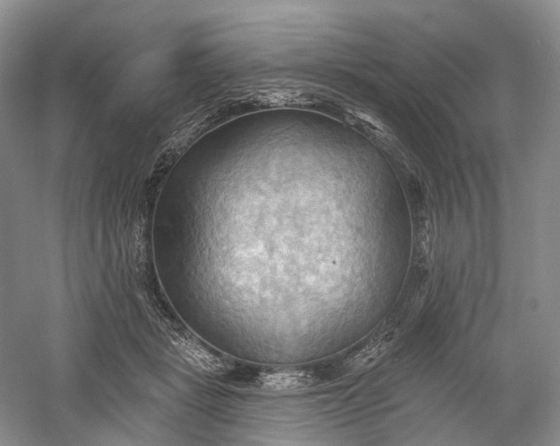 X0000060560461200511171610