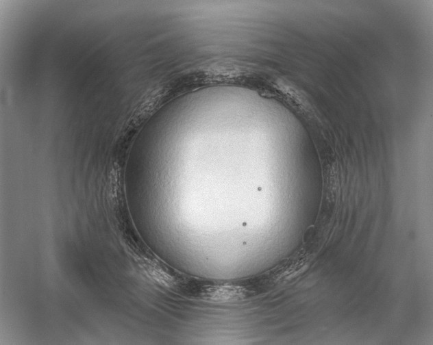 X0000060560463200511171610