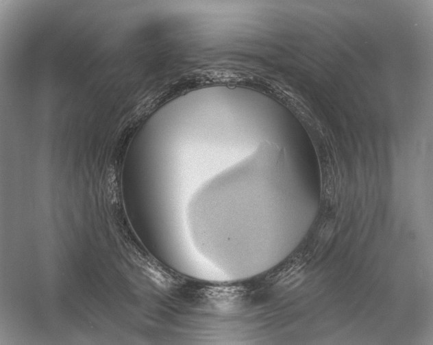 X0000060560465200511171610