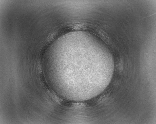 X0000060560469200511171610