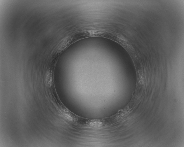 X0000060560471200511171610