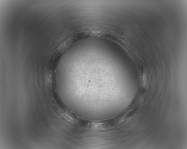 X0000060560472200511171610
