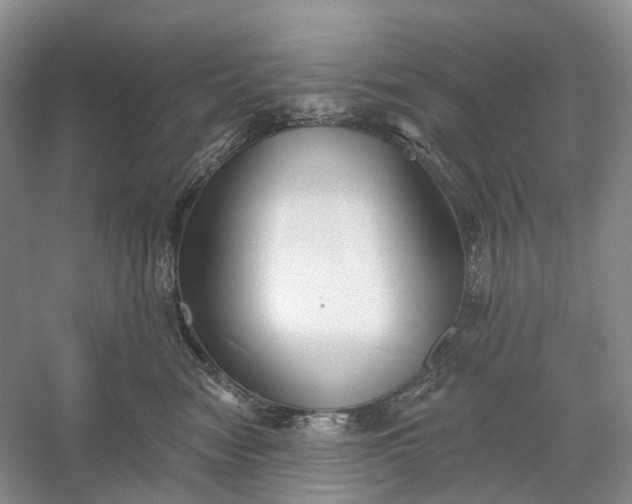 X0000060560474200511171610
