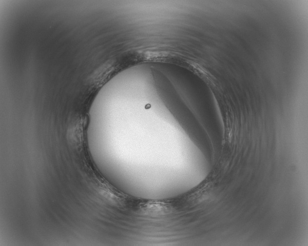 X0000060560475200511171610
