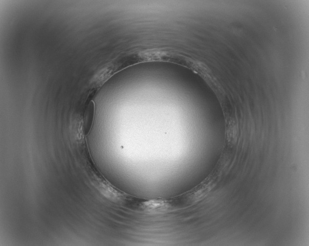 X0000060560477200511171610