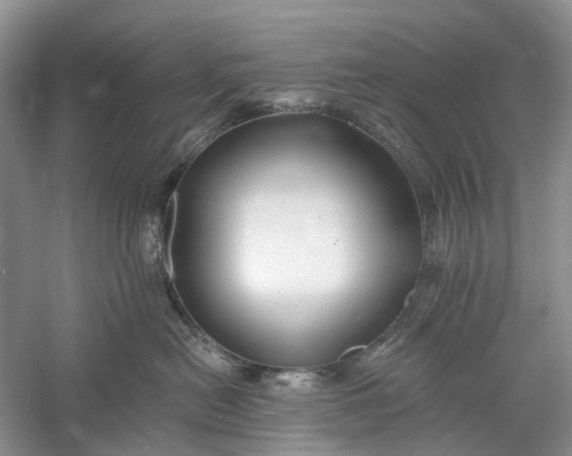 X0000060560478200511171610