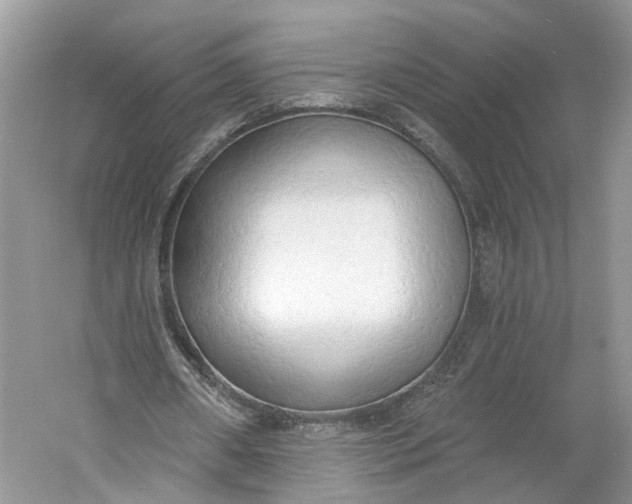 X0000060560482200511171609