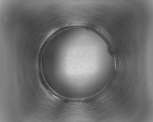 X0000060560483200511171609