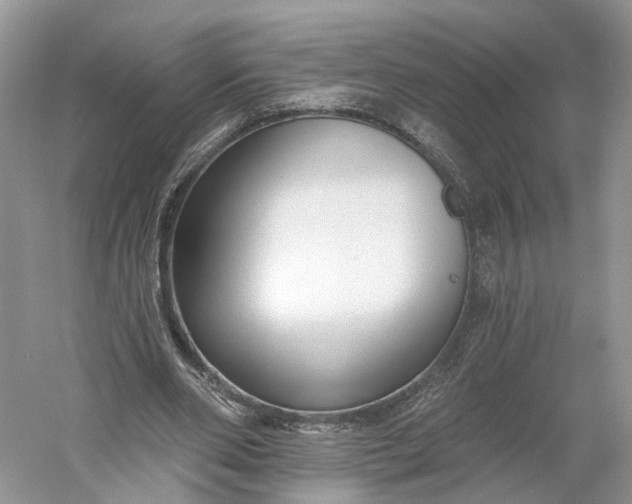 X0000060560486200511171609
