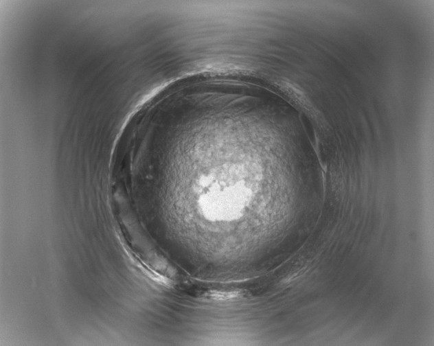 X0000060560488200511171609