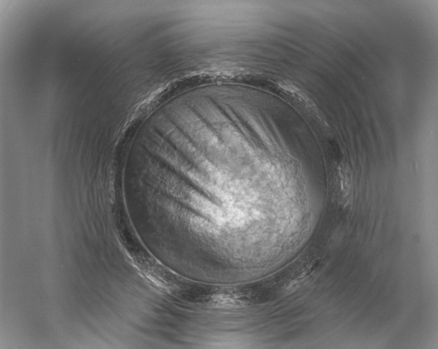 X0000060560496200511171609