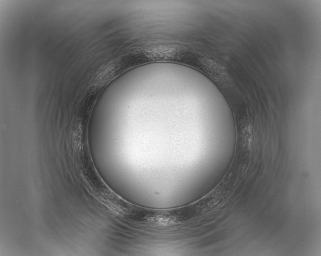 X0000060560498200511171609