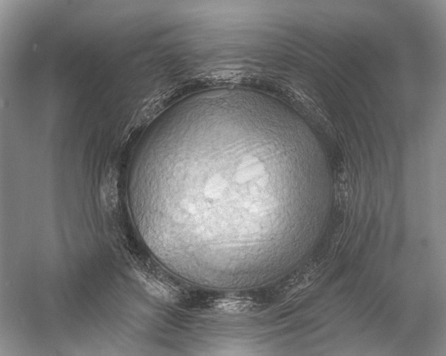 X0000060560504200511171609