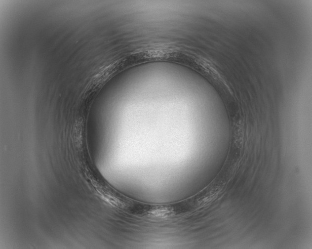 X0000060560505200511171609