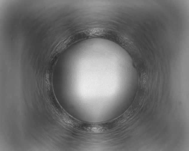 X0000060560506200511171609