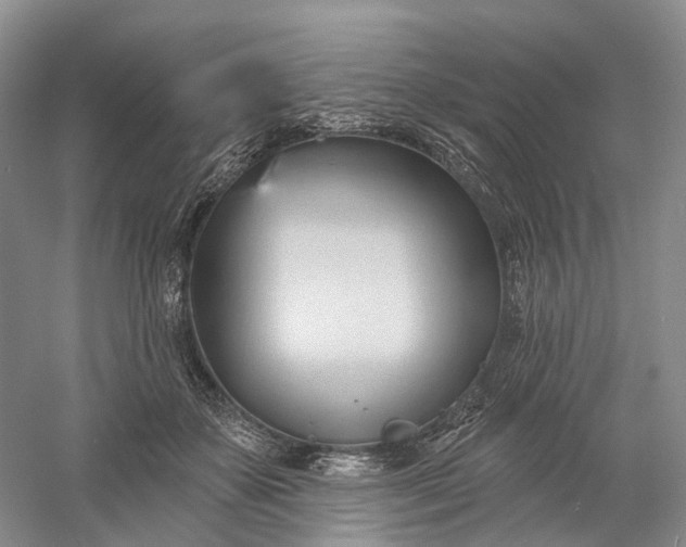 X0000060560507200511171609