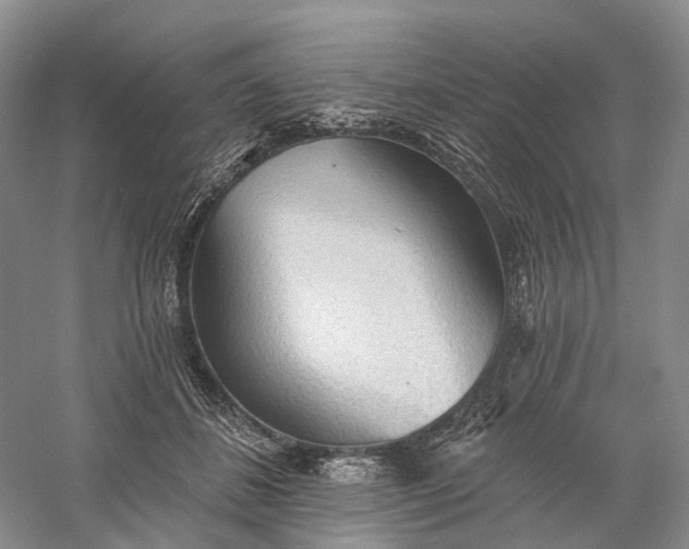 X0000060560508200511171609