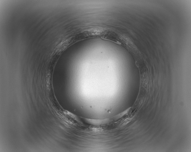 X0000060560509200511171609