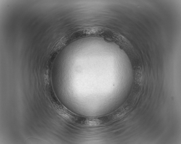 X0000060560510200511171609