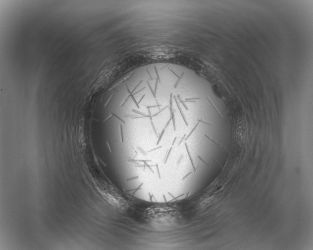 X0000060560512200511171609