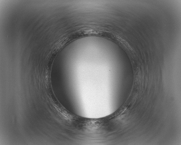 X0000060560513200511171609