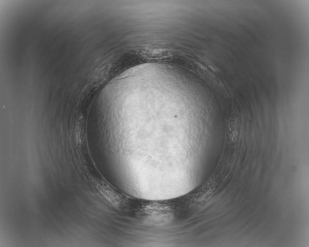 X0000060560515200511171609