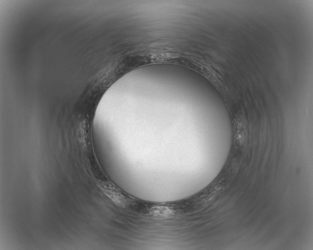 X0000060560519200511171609