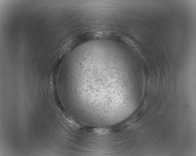 X0000060560520200511171609