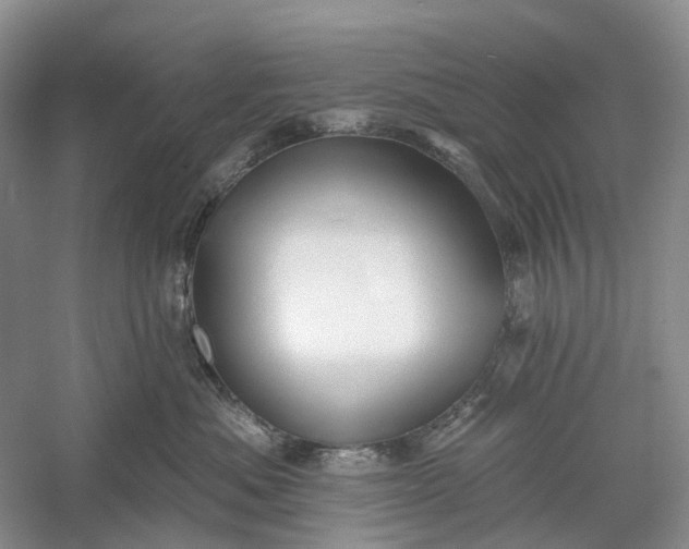 X0000060560525200511171608