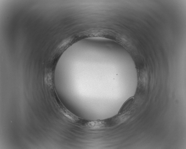 X0000060560526200511171608