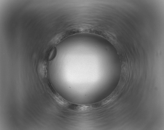 X0000060560527200511171608