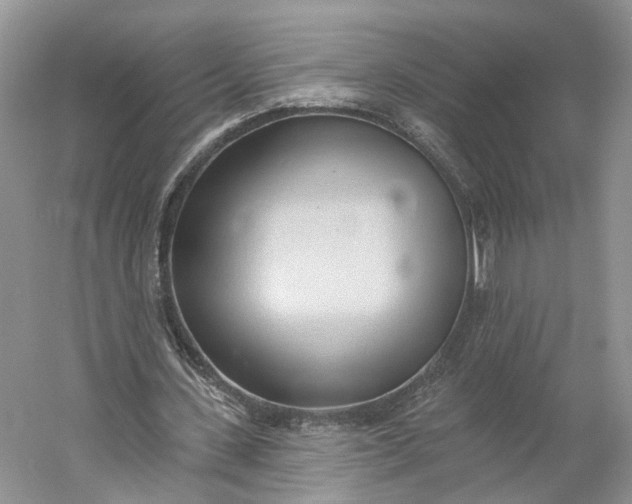 X0000060560531200511171608