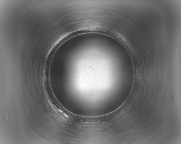 X0000060560532200511171608