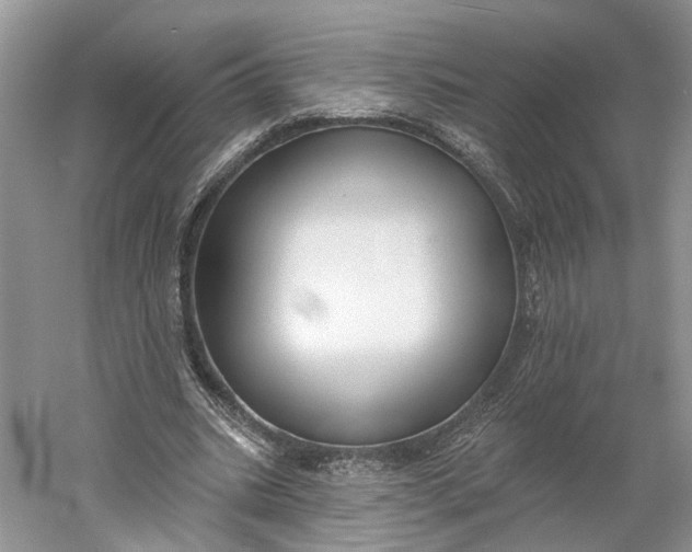 X0000060560535200511171608