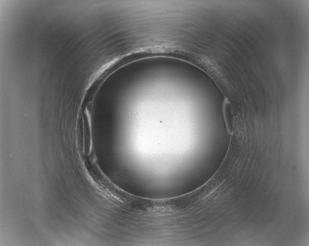 X0000060560536200511171608