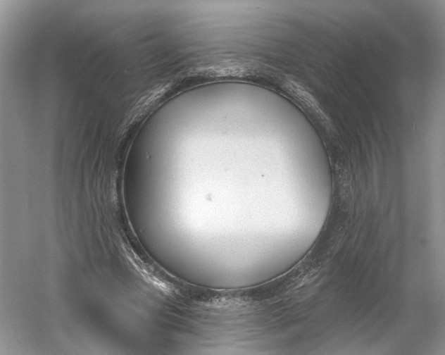 X0000060560537200511171608