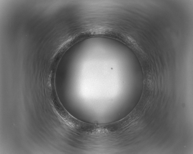 X0000060560543200511171608