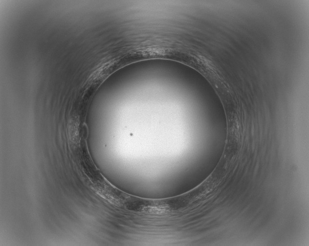 X0000060560548200511171608