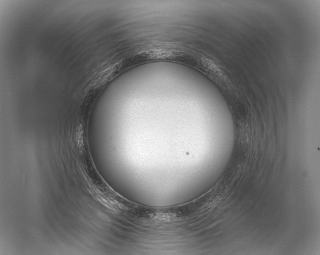 X0000060560549200511171608