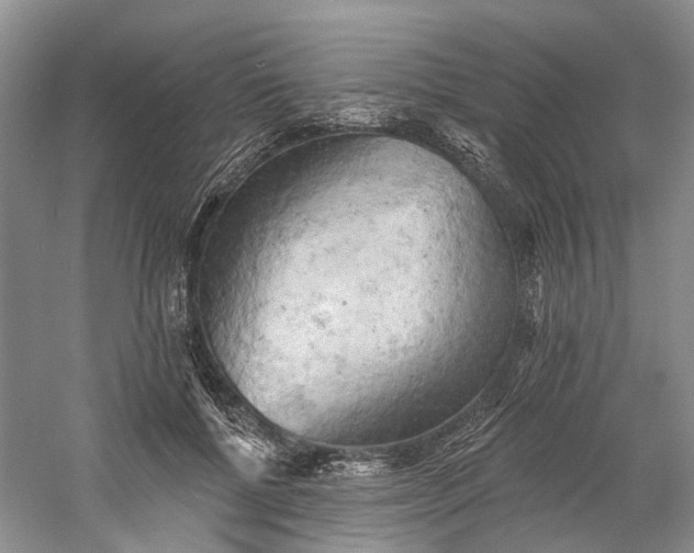 X0000060560552200511171608