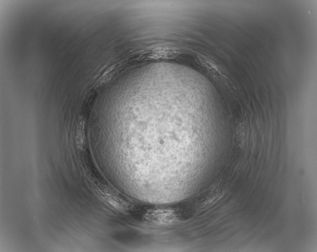 X0000060560554200511171608