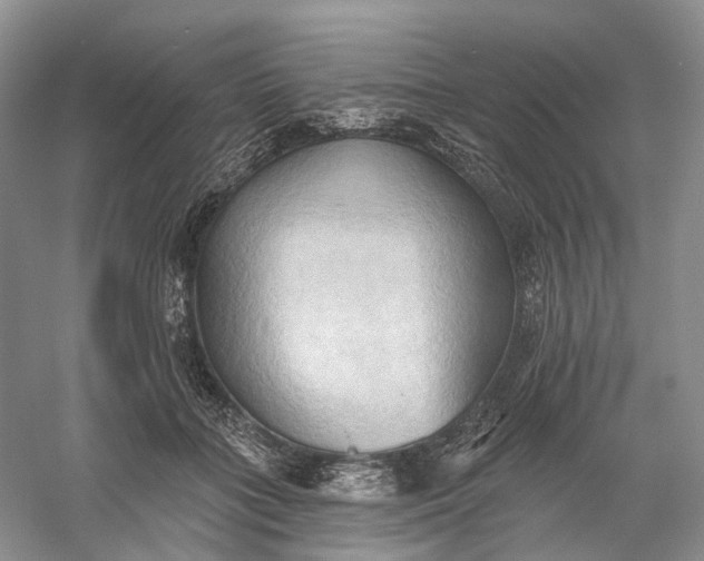 X0000060560555200511171608