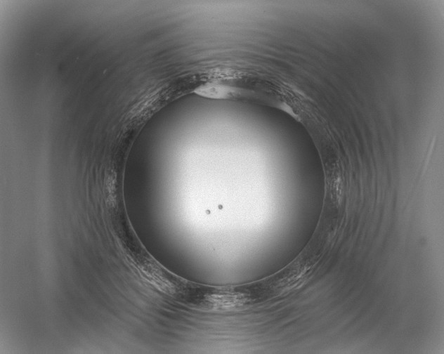 X0000060560556200511171608