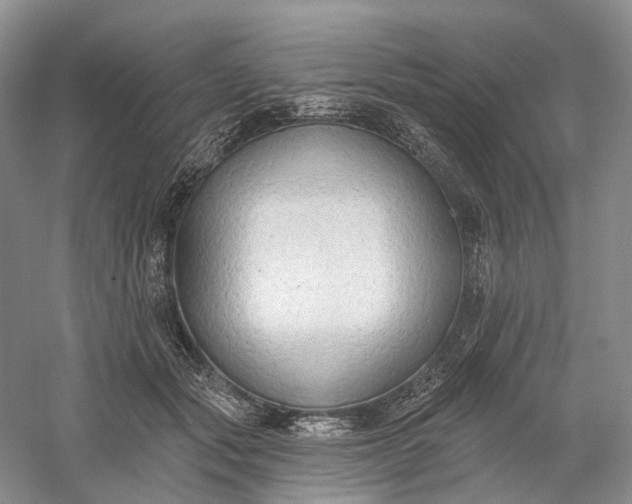 X0000060560557200511171608