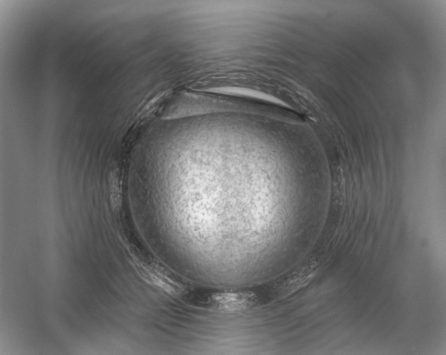 X0000060560558200511171608