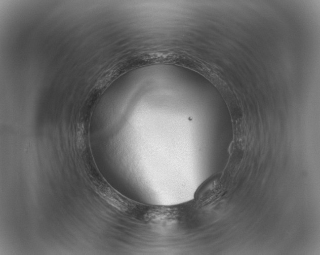 X0000060560563200511171608