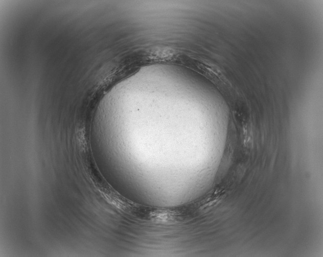 X0000060560564200511171608